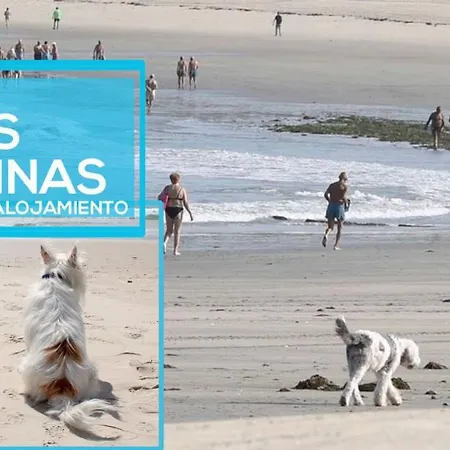 Casita Nekagarden * Βίγκο