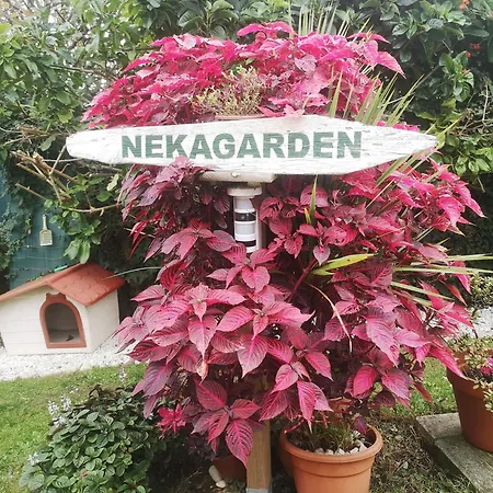 Casita Nekagarden